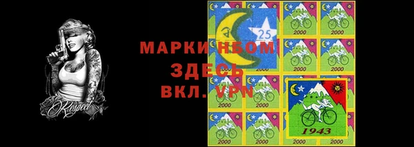 соль ск Сосновоборск