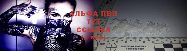 ECSTASY Сосновый Бор