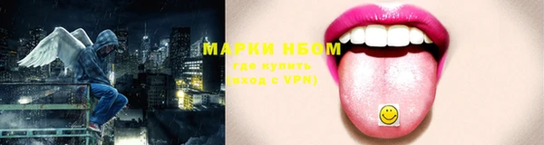 ECSTASY Сосновый Бор